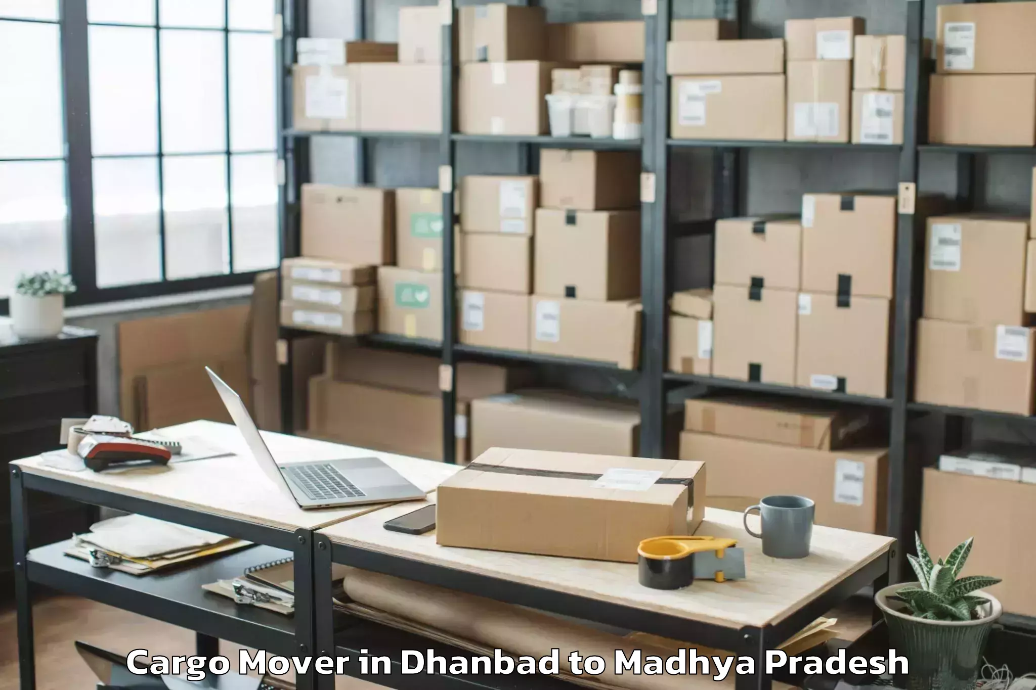 Top Dhanbad to Gyaraspur Cargo Mover Available